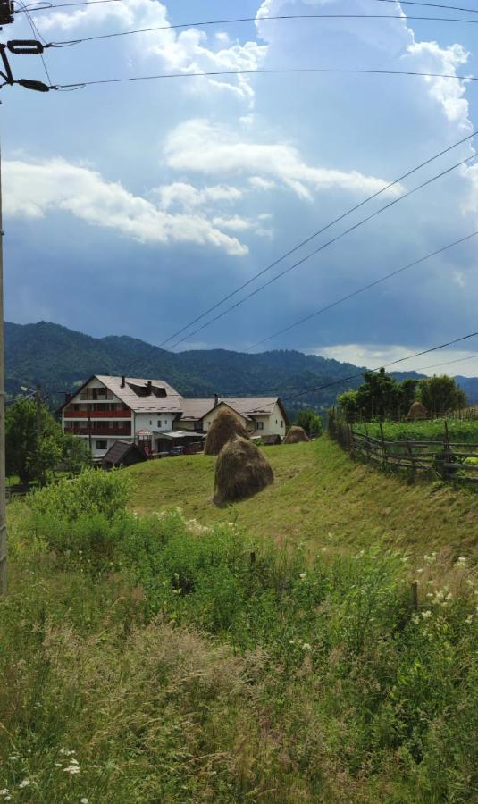 Casa De Vacanta Perla Colibitei Colibiţa Buitenkant foto