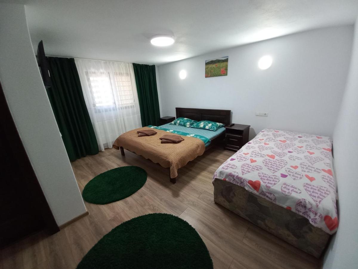 Casa De Vacanta Perla Colibitei Colibiţa Buitenkant foto