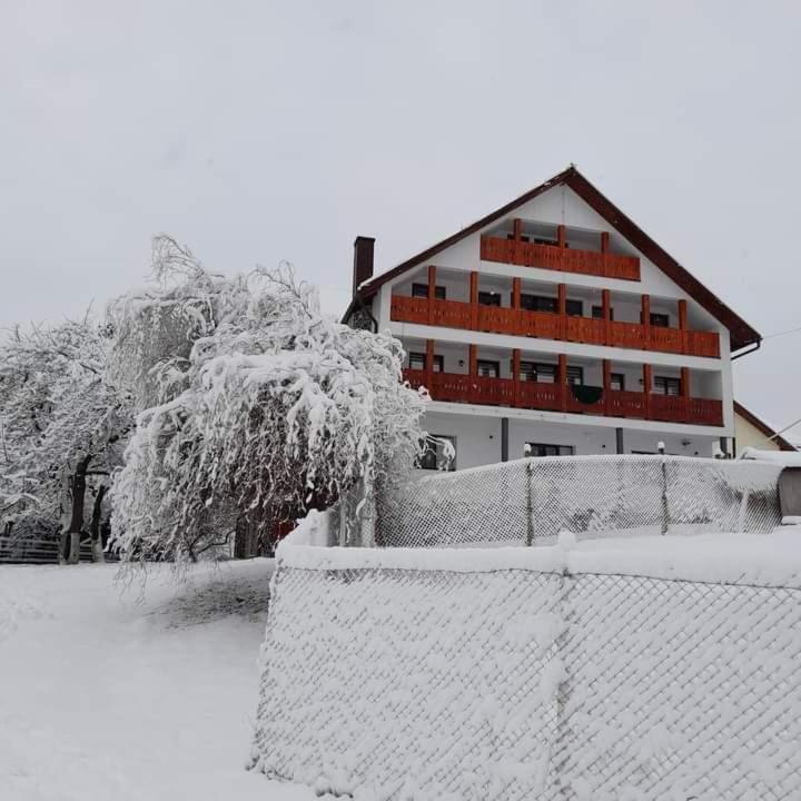Casa De Vacanta Perla Colibitei Colibiţa Buitenkant foto